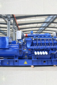 Genset Biomass