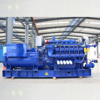 Genset Biomass