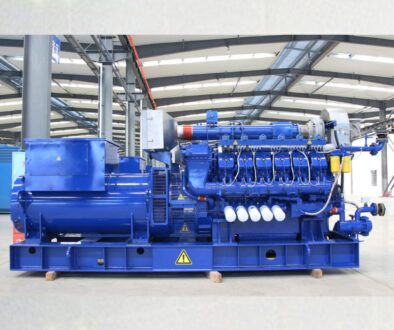 Genset Biomass