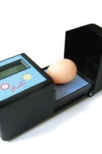 Kotak Pengamatan Telur (Egg Observation Box)