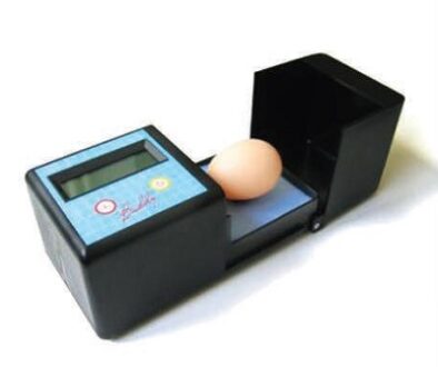 Kotak Pengamatan Telur (Egg Observation Box)