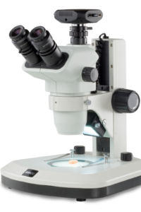 Zoom Stereo Microscope