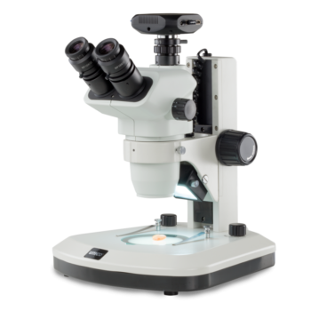 Zoom Stereo Microscope