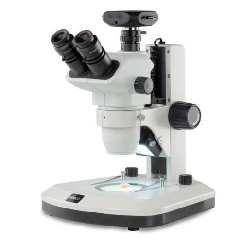 Zoom Stereo Microscope